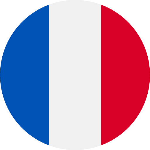Version fran&ccedil;aise